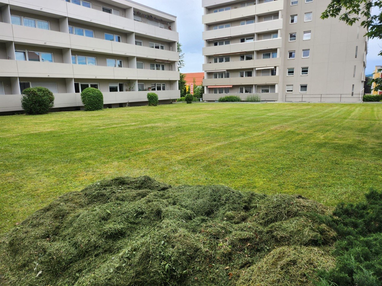 Rasenmähen